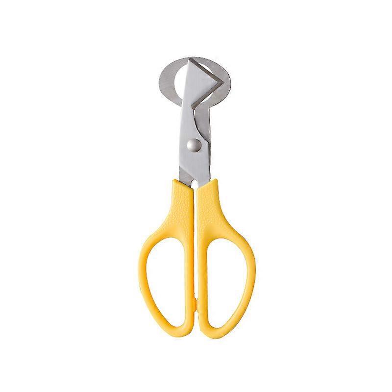 Quail Egg Scissors Bird Egg Scissors Stainless Steel Egg Cutters Eggshell Cutters Egg Opener Scissors Kitchen Cut Eggshell Tool
