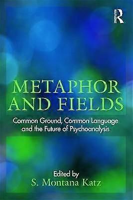 Metaphor and Fields