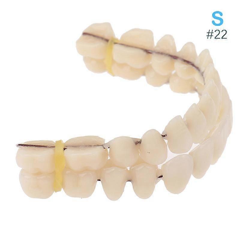 28Pc Tooth Resin False Teeth Model Dentures Dental Material Teeth Teaching Model