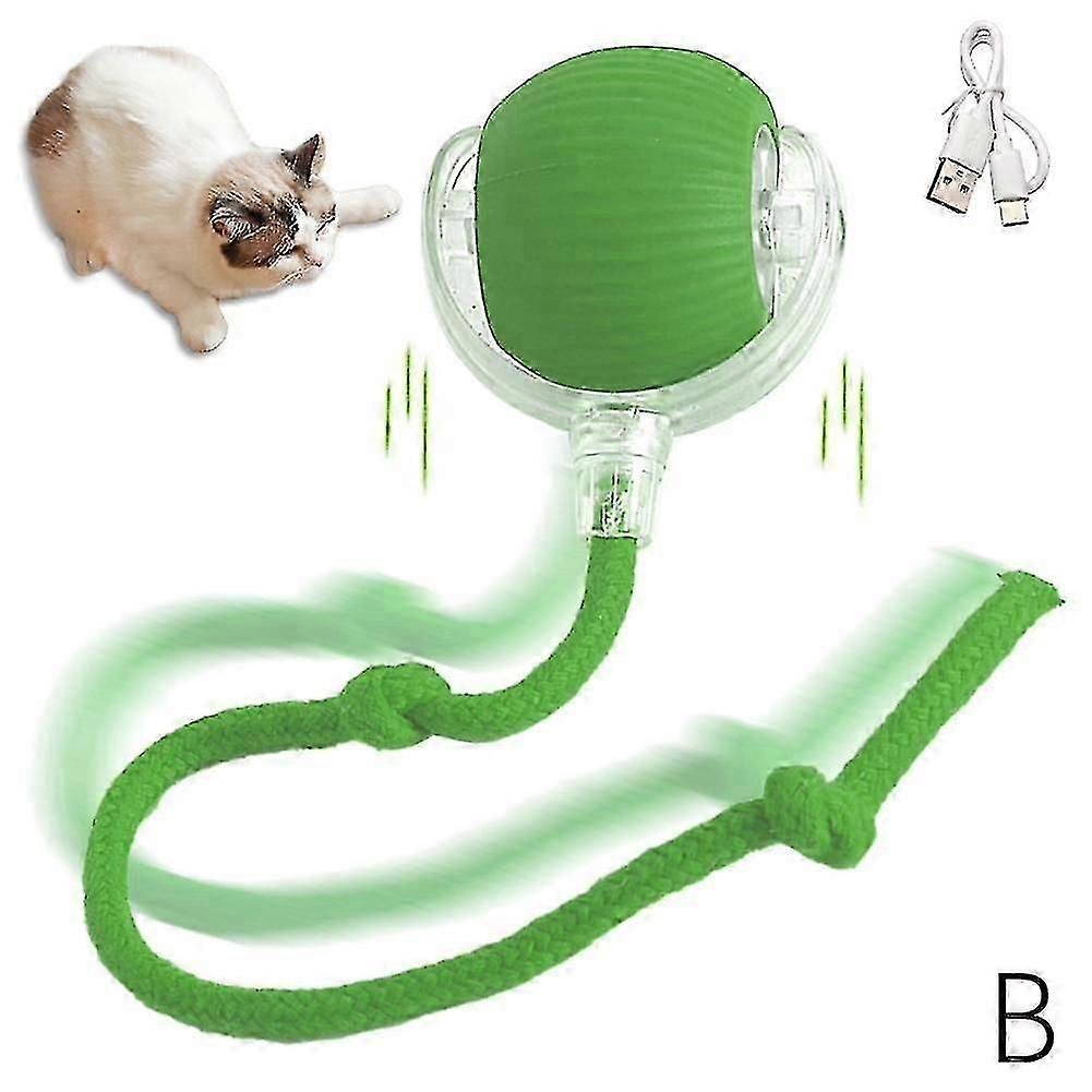 Akıllı Rollerball Self Hi Cat Playstick, Yavru Kedi Şarj Kedi Playball