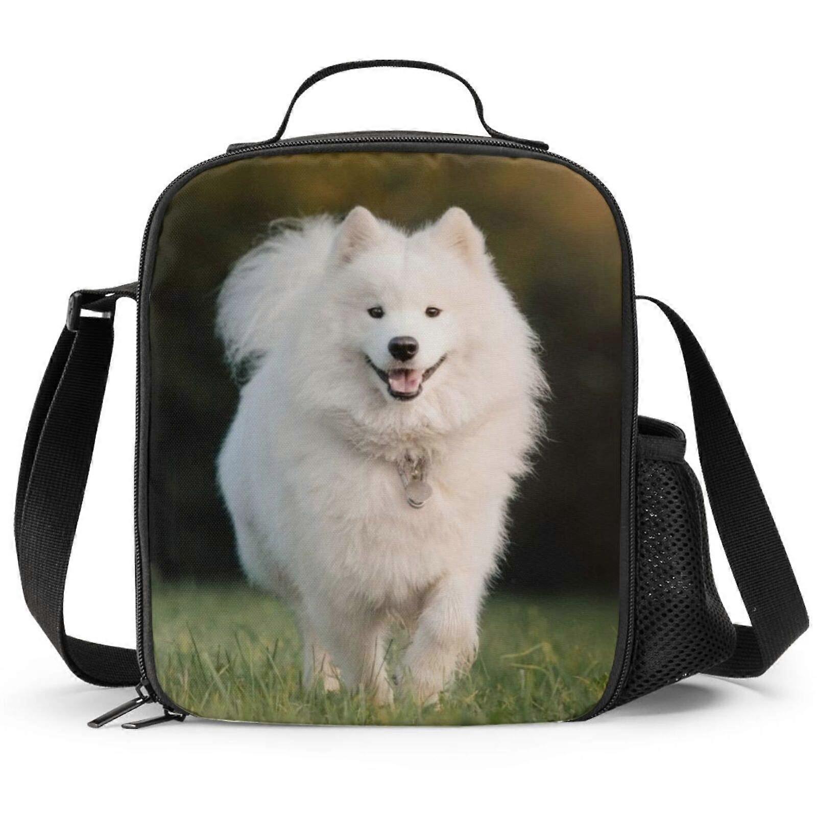Insulated Lunch Box for School and Camping - Large Size, Durable Material, Leak-Proof Design, Easy Carry Handle