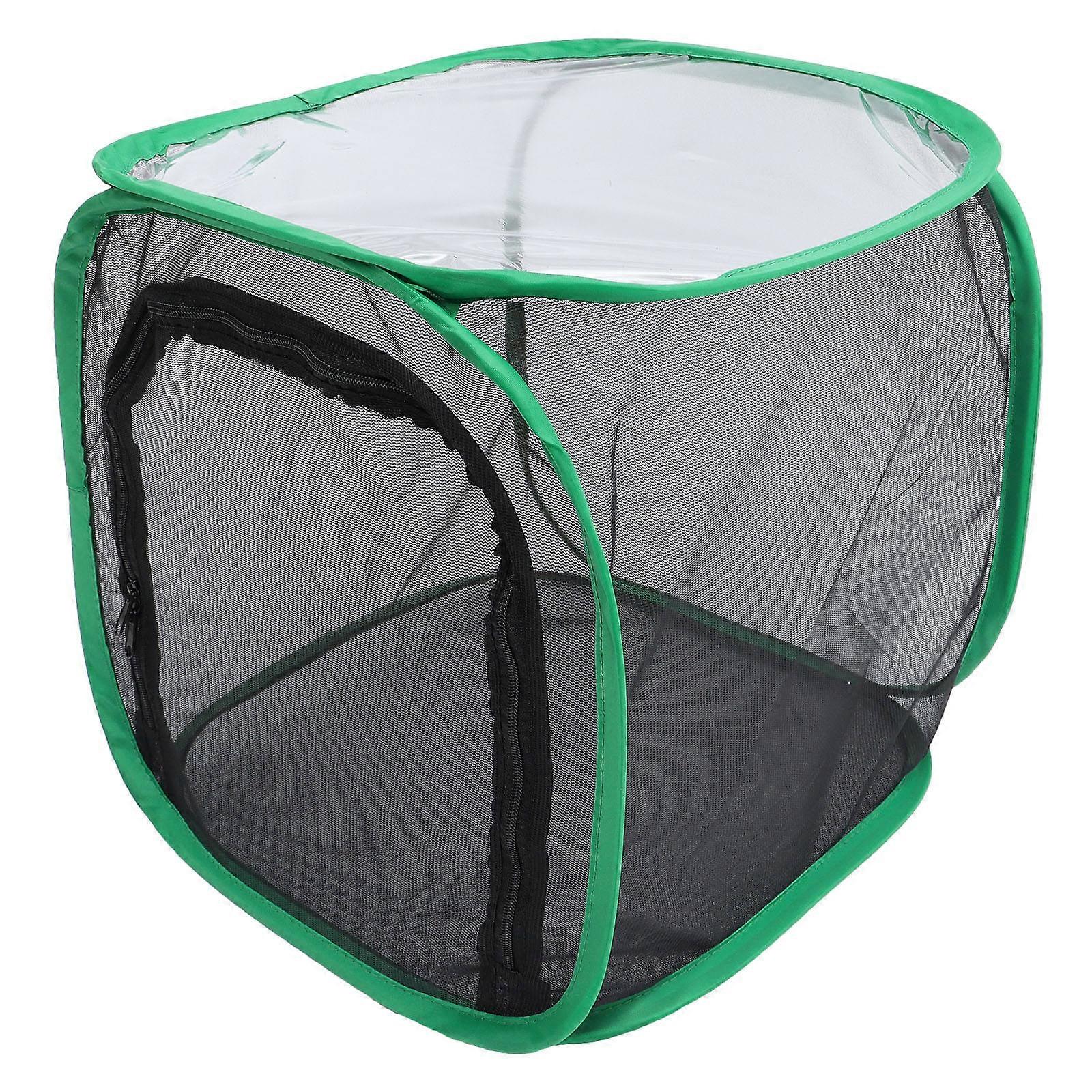 Collapsible Translucent Insect Incubator Cage for Butterfly Observation, Plant Experiments, and Durable Mesh Enclosure
