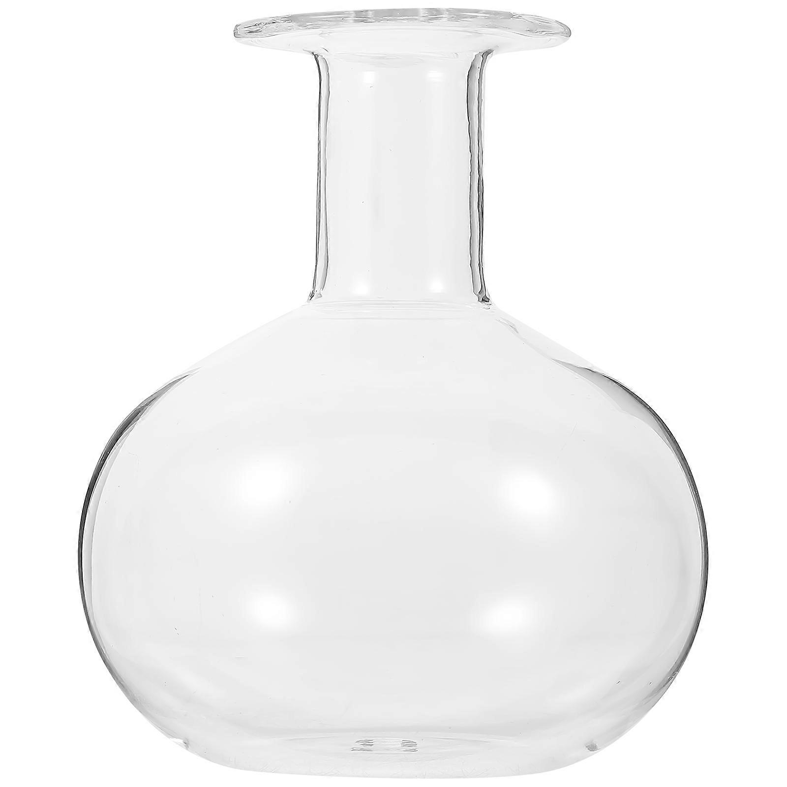 Transparent Glass Vase for Flower Arrangement and Hydroponic Plants with Modern Design Suitable for