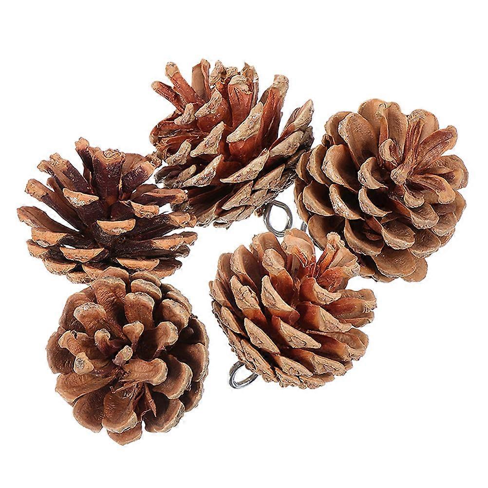 Natural Pine Cone Parrot Chewing Toys Bird Chew Toy 20Pcs Set