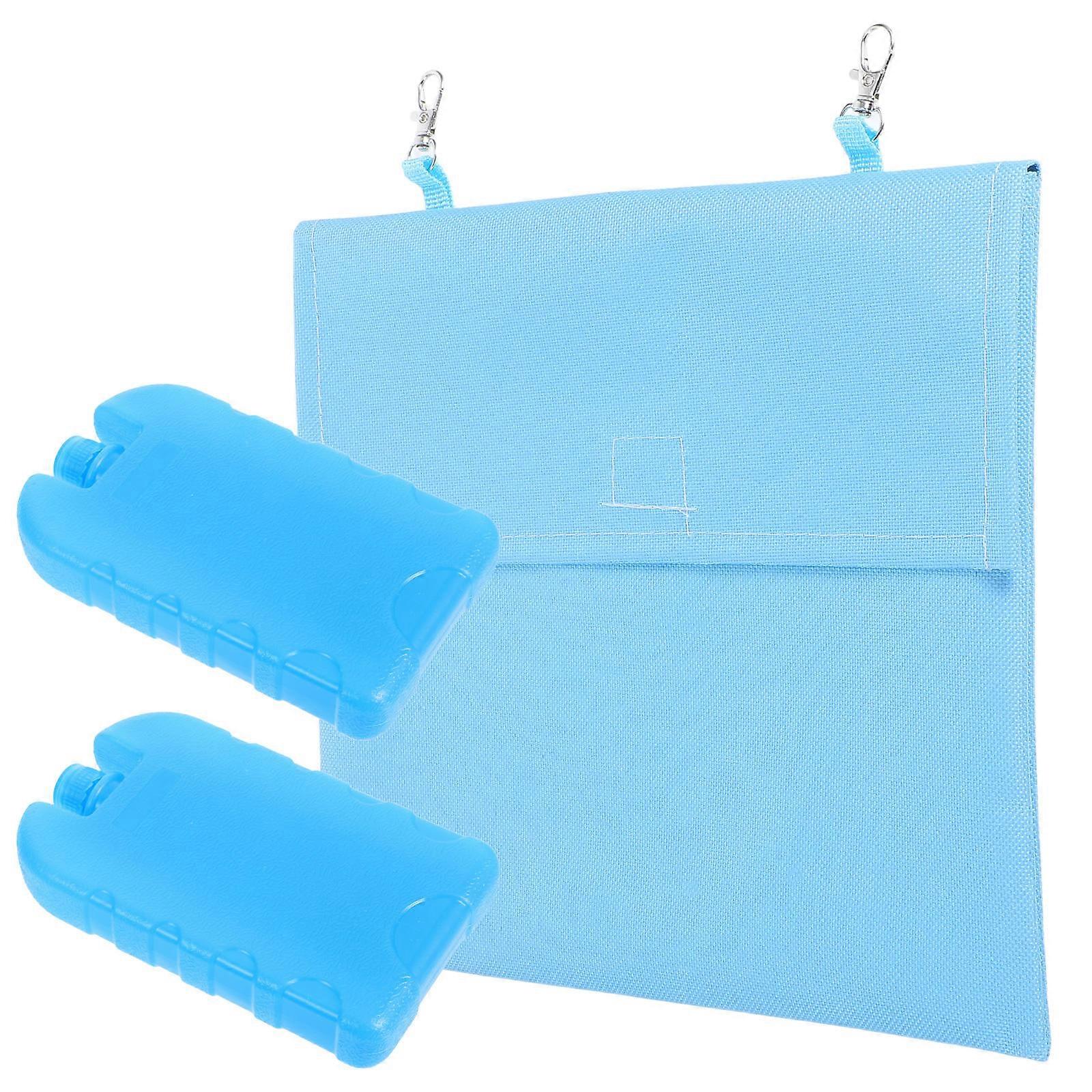 Reusable Ice Packs Ice Box Sky-Blue Cooling Bag for Rabbit with Cold Locking Feature
