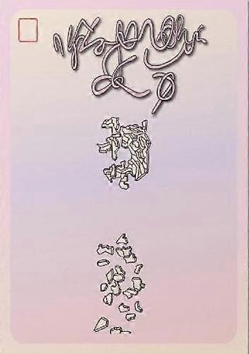 Infinite Recognition by Chloe Feinberg Paperback