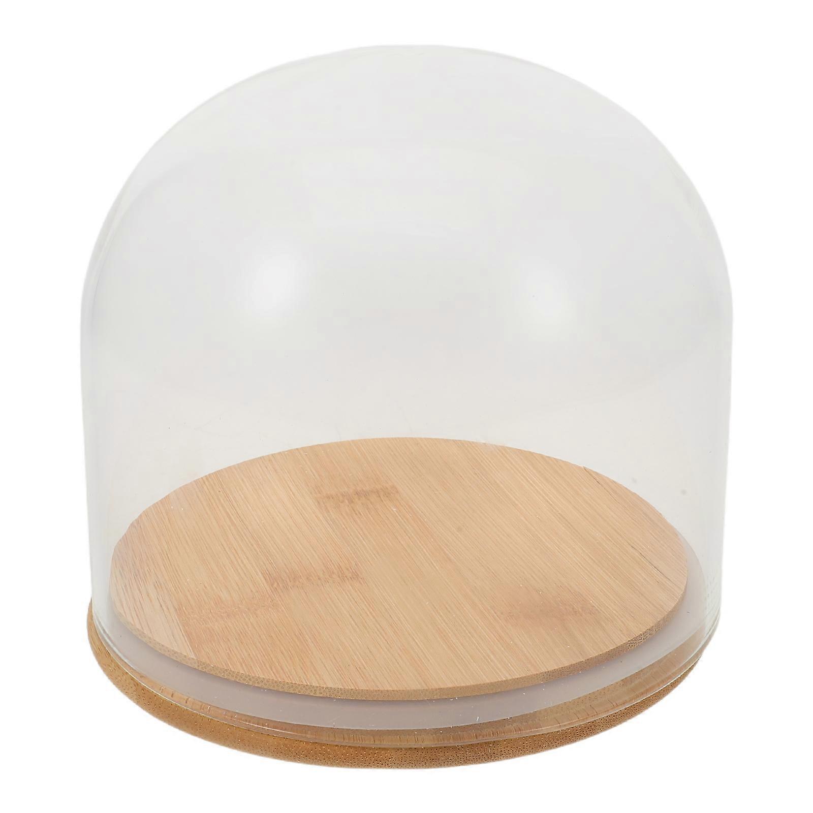 Eternal Flower Glass Dome Display with Base for Decor