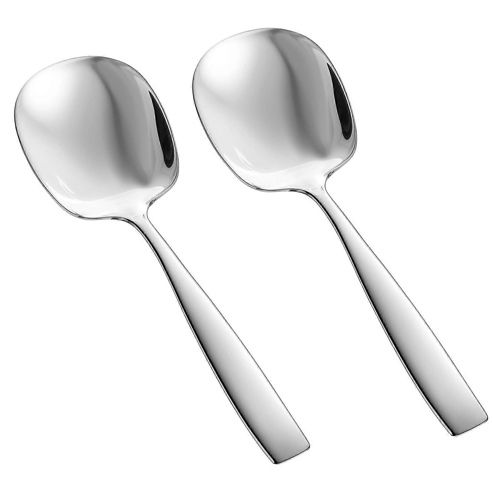 Stainless Steel Serving Spoons Set 9.5 Inch Extra Large Buffet Utensils with Mirror Finish Handle 2 Pack Silver