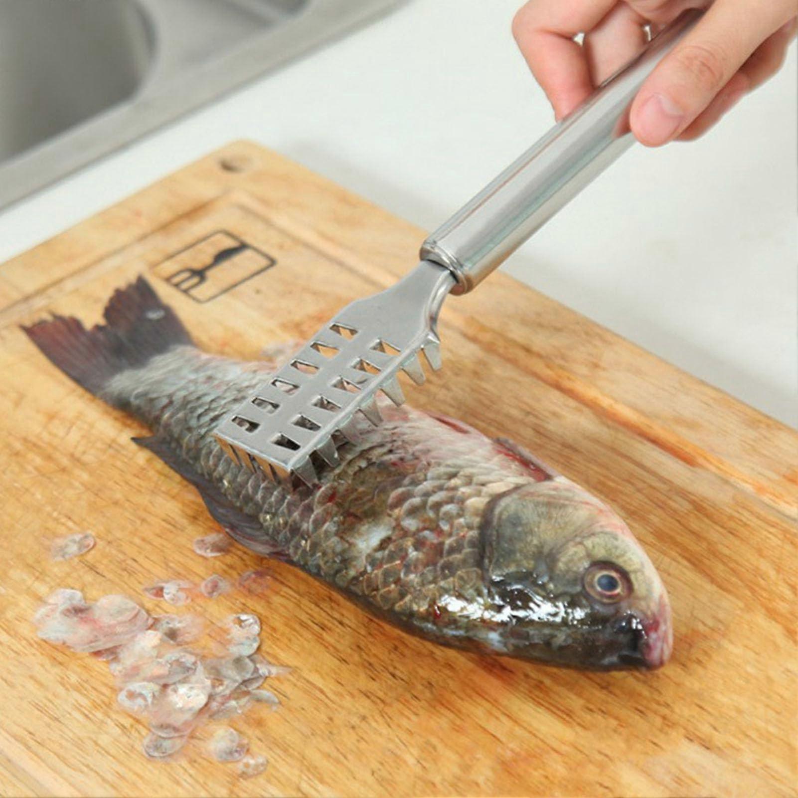 Stainless Steel Fish Scale Remover Ergonomic Handheld Scaler Tool with Comfortable Grip for Kitchen