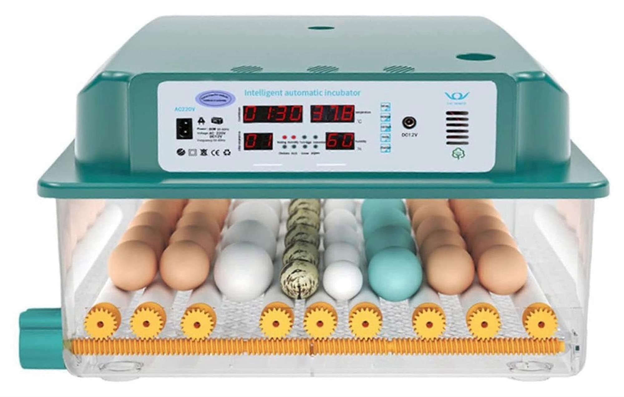 Automatic Egg Incubator with Dual Power Supply, External Water Refill and Auto Egg Size Adjustment