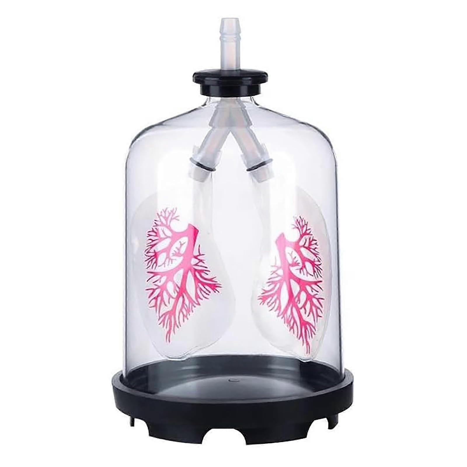 Lung Breathing Model with Visible Simulation and Manual Diaphragm Control for Classroom Teaching