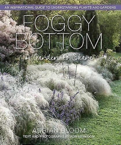 Foggy Bottom - ADRIAN BLOOM