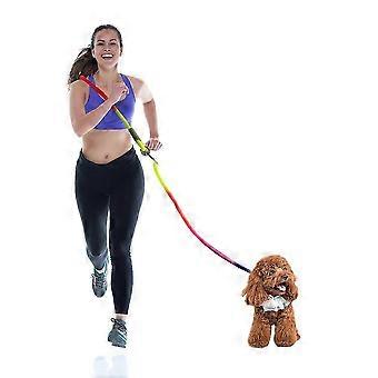2026 Latest Model Leash Pet Dog Running Chain Leash Hands-free Rope Nylon Leash