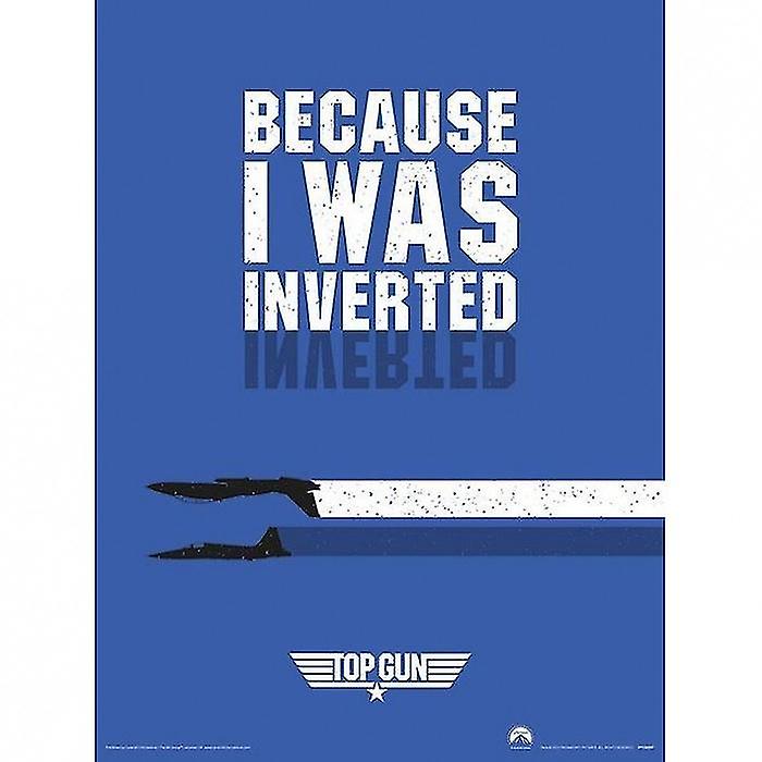 Top Gun Inverted Poster