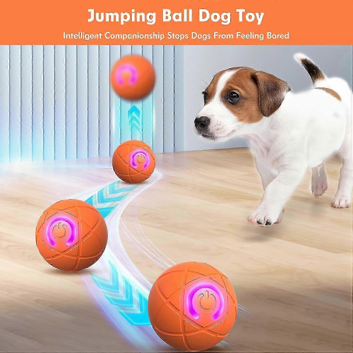 LED Vibrating Dog Chase Ball