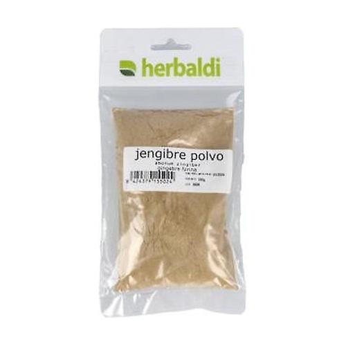 ginger powder 100 g of powder