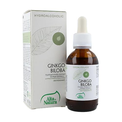 Antioxidant Ginkgo Biloba 50 ml