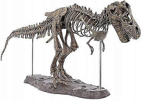 70cm 3D Tyrannosaurus Rex Fossil Assembly Kit Zekai