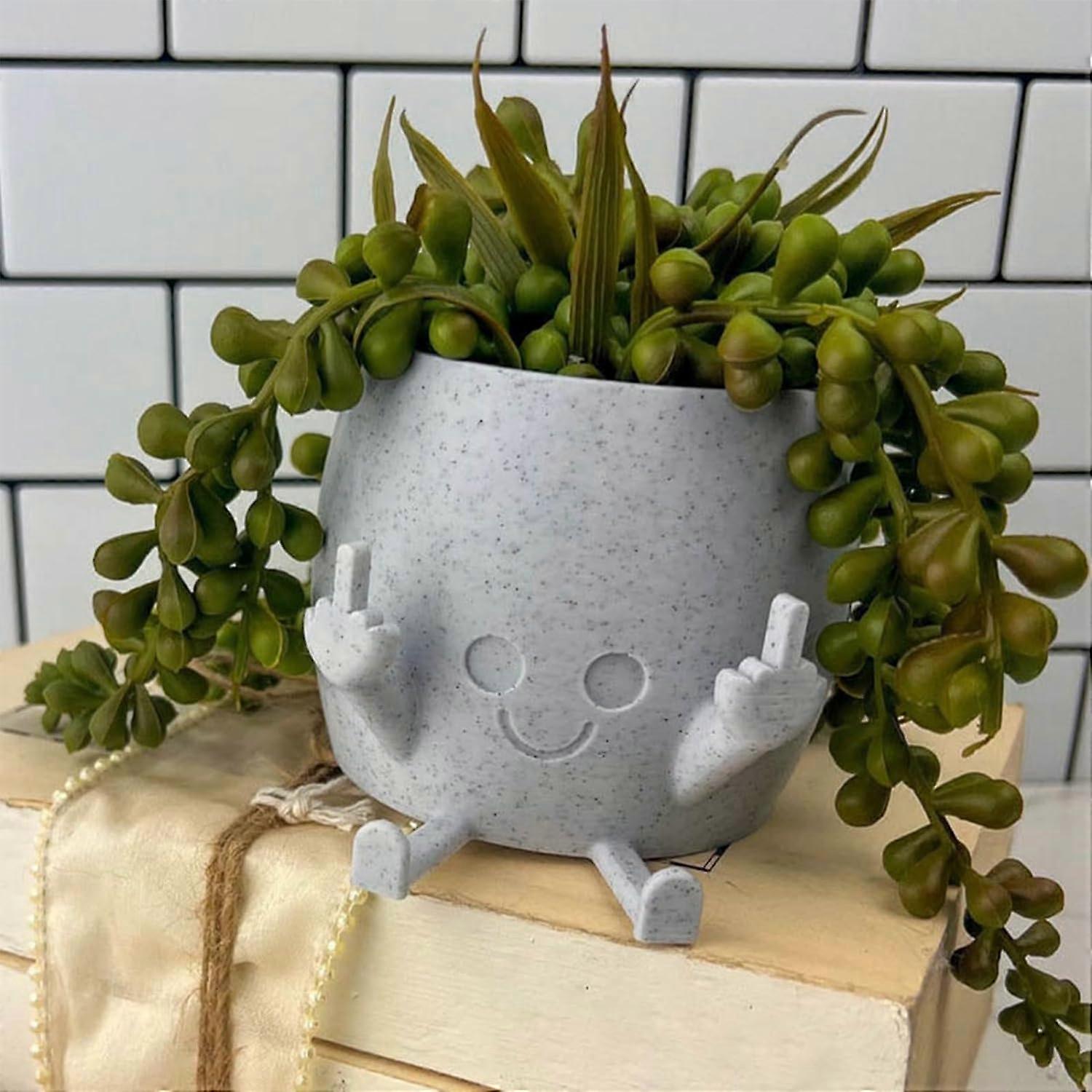 Funny Smiling Plant Pot With Middle Finger  Resin Succulent Planter For  Indoor & Outdoor
