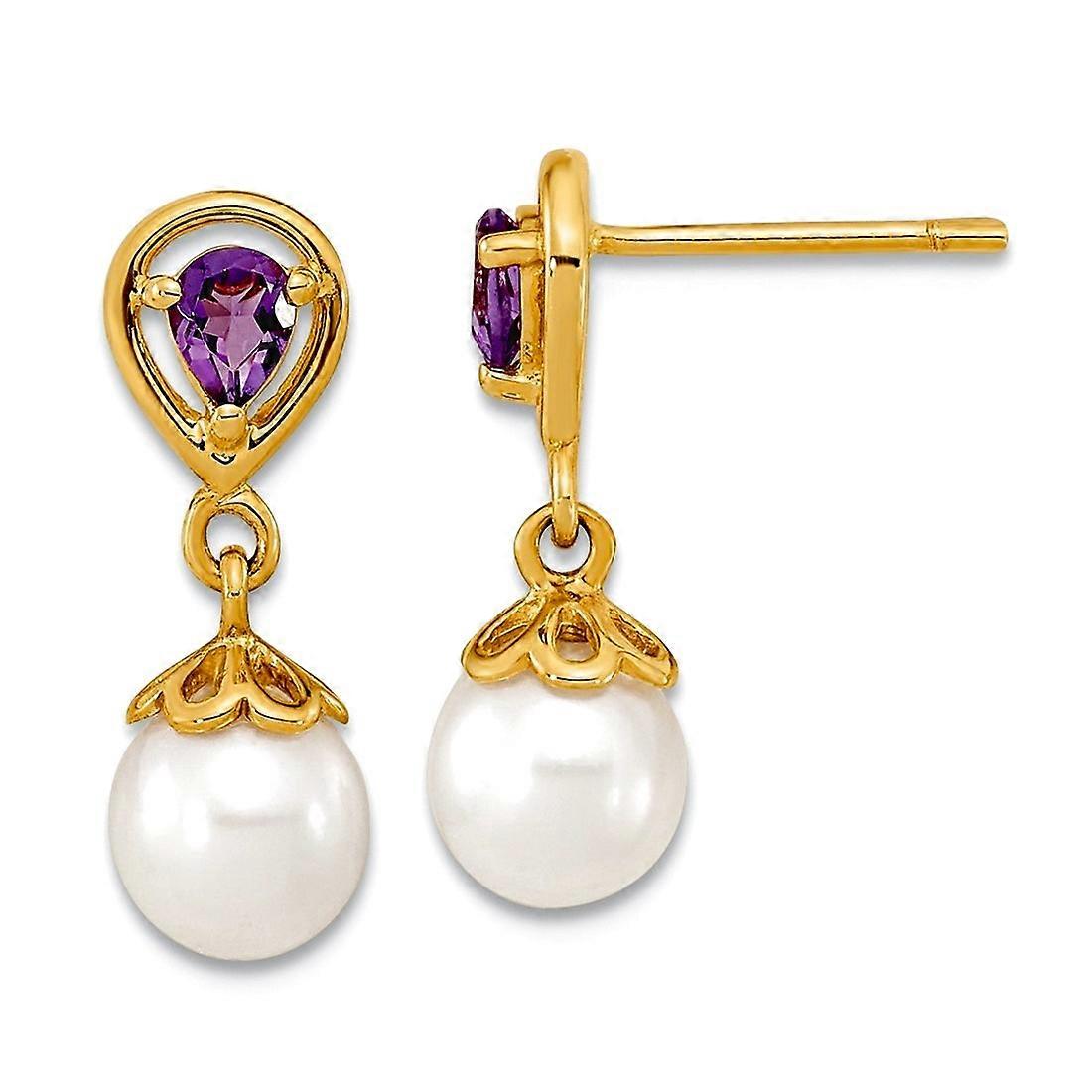 14k Gold With Amethyst and Freshwater Cultured Pearl Post Long Drop Dangle Earrings 16.85x6.15mm Wi-Dangle Earring for W
