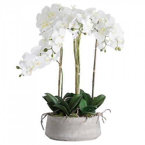 Hill Interiors Orchid In Stone Pot