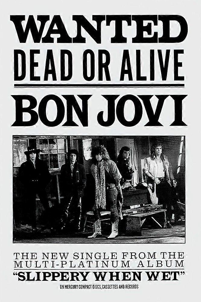 Bon JoviJigsaw Puzzle Brain Teaser P2480