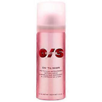46ml Long-lasting Setting Spray - Matte Finish, Oil Control, Moisturizing, Waterproof & Sweat-Resistant