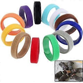 Identification Collar - Assorted - Adjustable - For Puppies and Kittens - Pack of 12 - Soft and Flexible