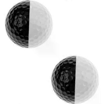 2pcs Practice Golf Balls for Training and Putting Game Improvement Dual-colour Black and White Synthetic Rubber Balls for Accurate Putter Aiming