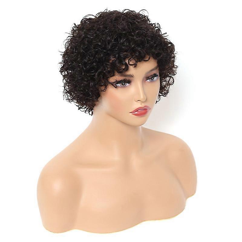 Black Short Curly Covers Wig