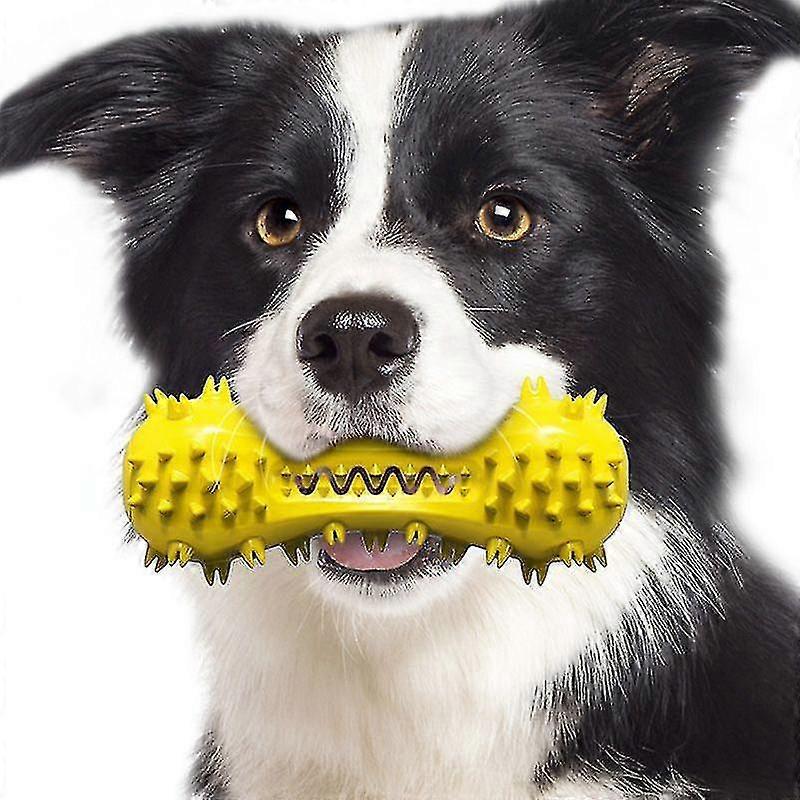 Dog Toy