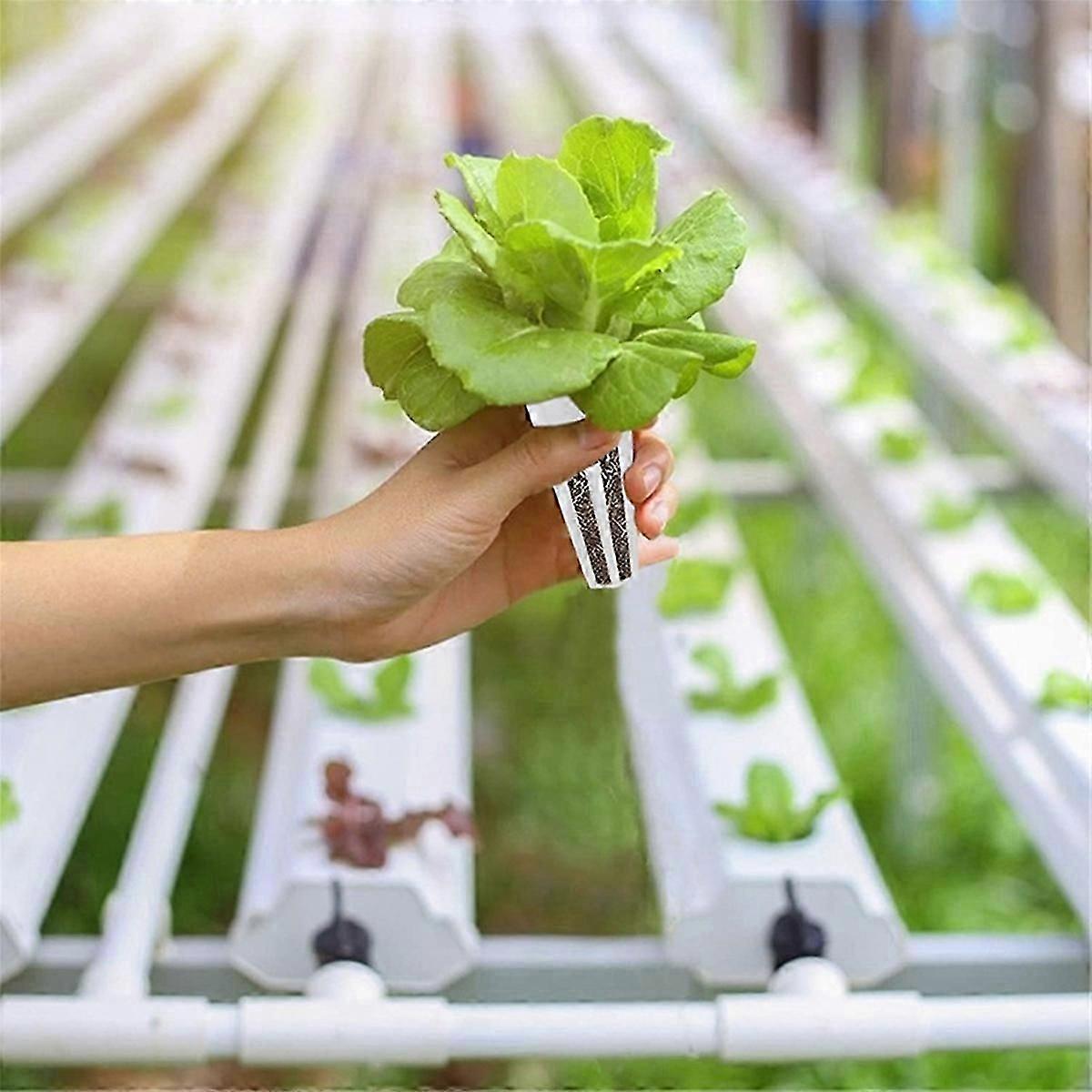 水耕栽培植栽キット水耕野菜栽培バスケット無土壌植栽バスケット屋内庭園無土壌花びら