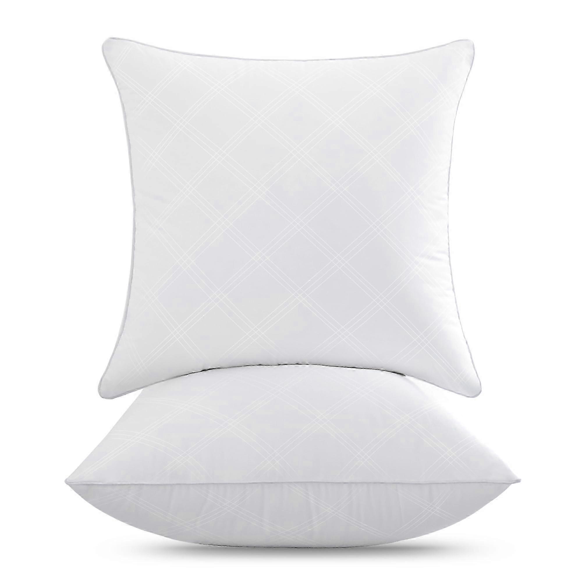 2 Pack Soft Fluffy Throw Pillows for Bed Sofa 22x22