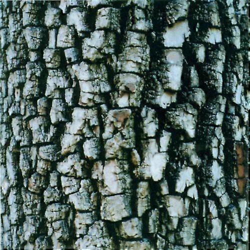 Ativin - Interiors  [COMPACT DISCS] USA import