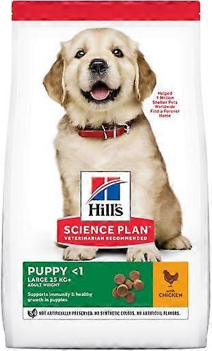 Hill's Science Plan Puppy Large con Pollo