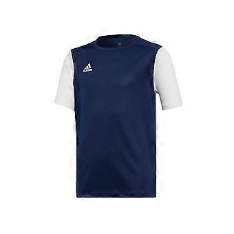 Adidas Arsenal FC DNA DP3219 fotball hele året gutt