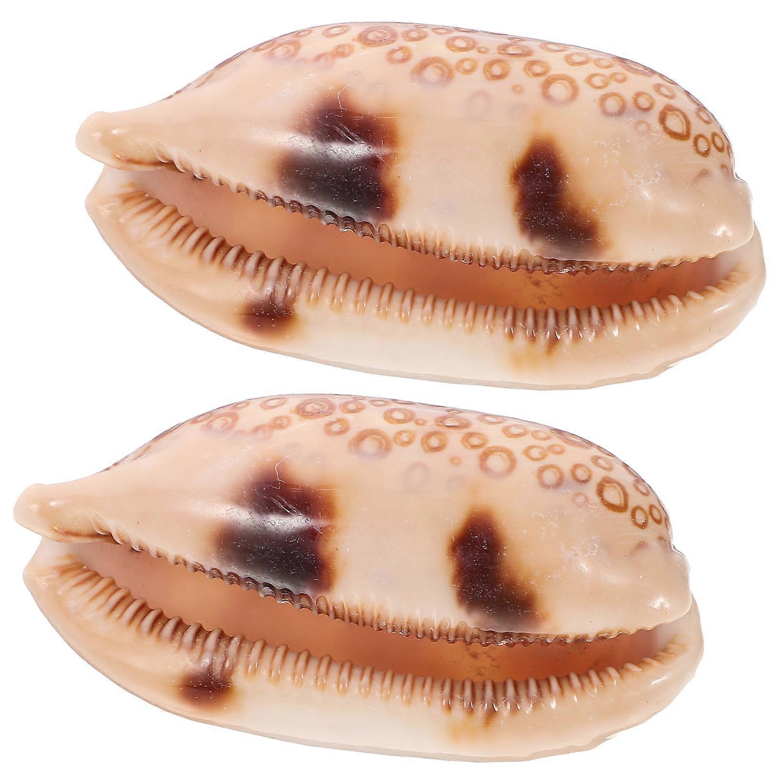 Assorted Color Cowrie Shells for Craft Fish Tank Landscaping 6Pcs