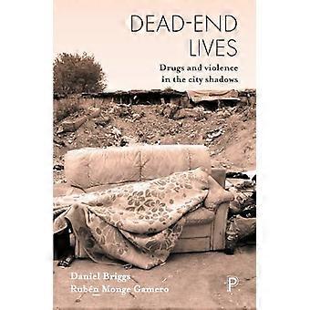 Dead End Lives Drugs and Violence in the City Shadows