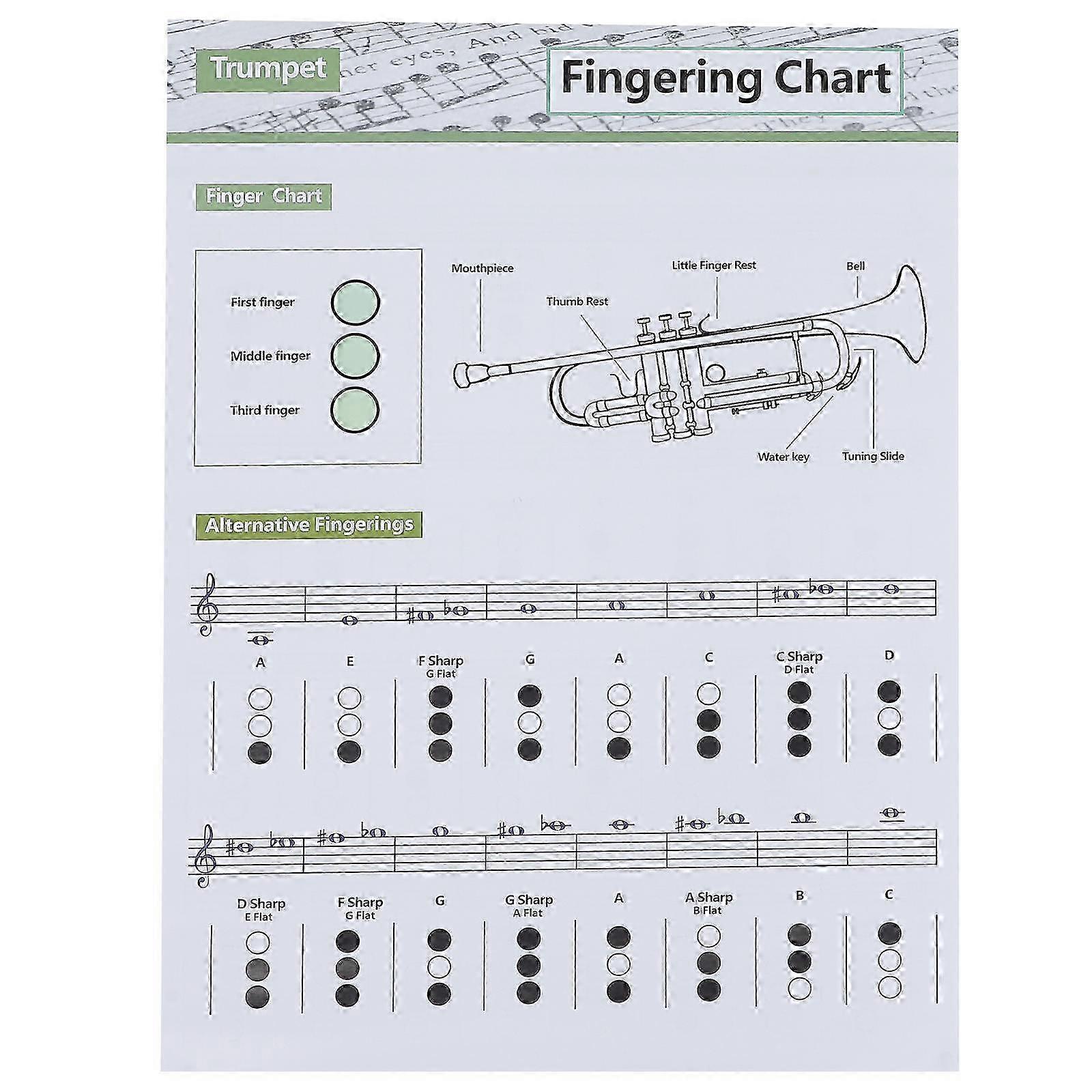 1Pc Trumpet Chord Practice Chart Beginners Chart Finger Guide Chart (Assorted Color)