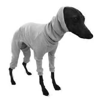 Hondenkleding voor middelgrote tot grote honden: een trui met hoge hals voor huisdieren.