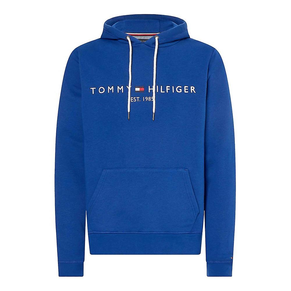 Tommy Hilfiger Tommy Logo MW0MW11599C7L universal all year men sweatshirts