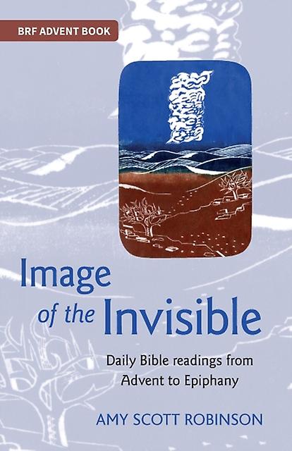 Image Of The Invisible by Amy Scott Robinson Paperback Book