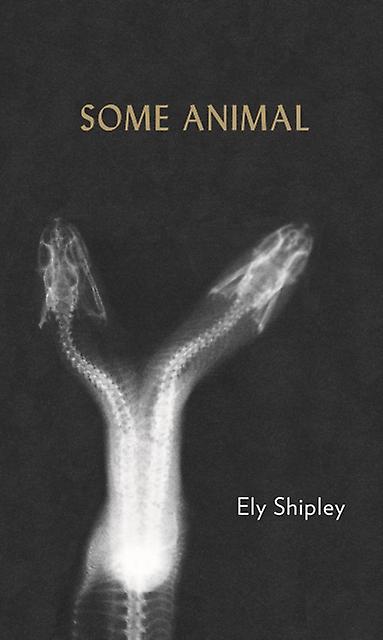Some Animal - Ely Shipley - Paperback - English Book - Poetry