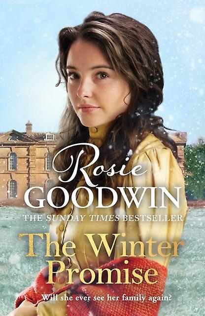 The Winter Promise by Rosie Goodwin Paperback
