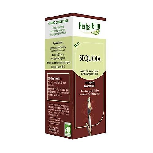 Giant Sequoia 50 ml