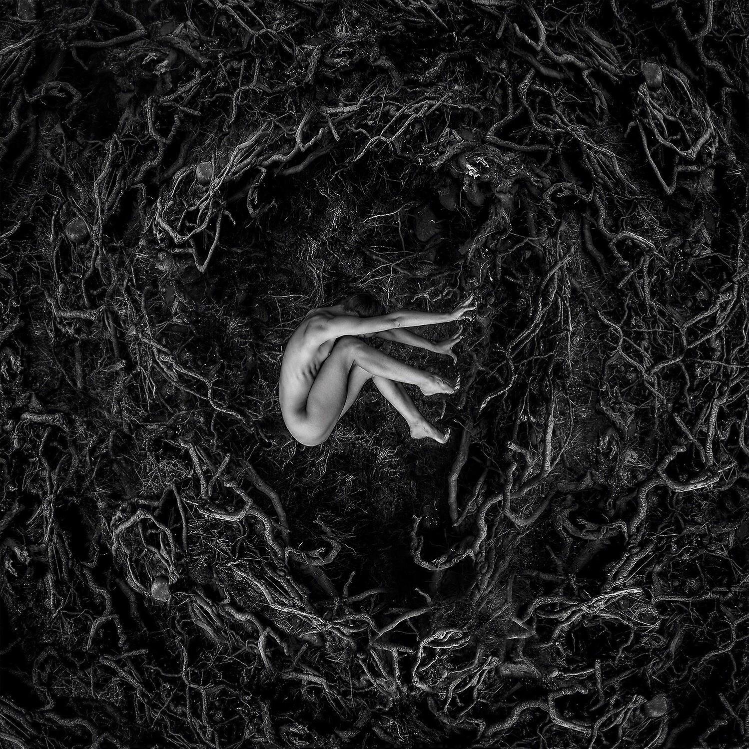 FVNERALS - Let The Earth Be Silent  [COMPACT DISCS] Digipack Packaging USA import