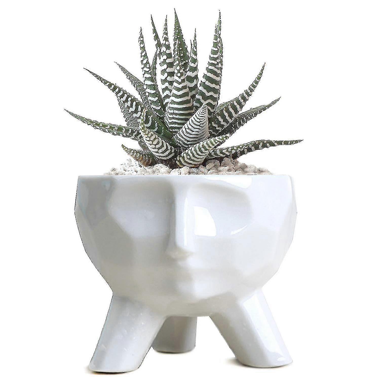 Ceramic Planter Pot For Succulent Bonsai(size:s)