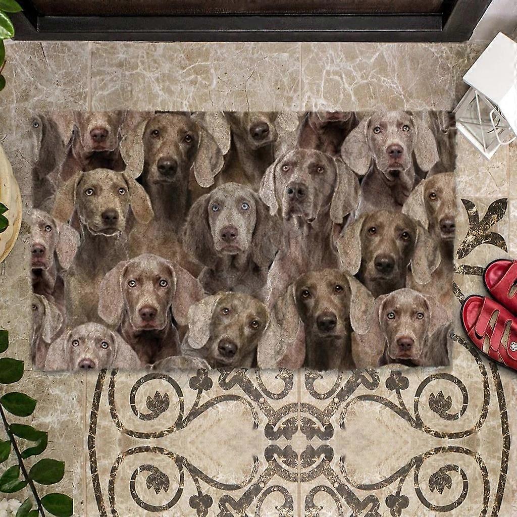 ShibaInus / Schnoodles / Shar Peis / St.Bernards / Shih Tzus Rohožka 3D tištěná vnitřní venkovní rohožka Protiskluzový dárek pro psy lásky