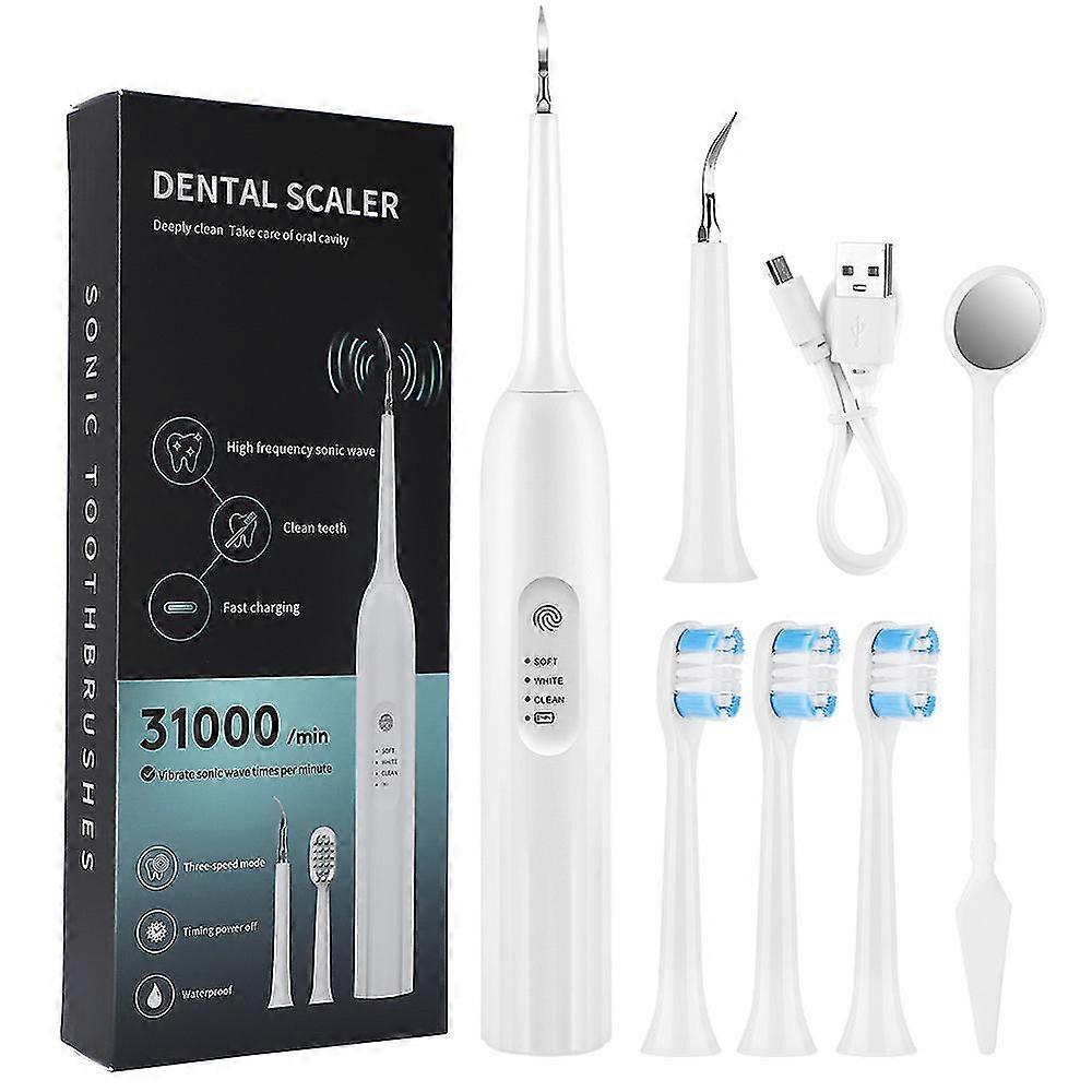 Electric Dental Scaler Tooth Cleaner Teeth Stains Remover Kit
