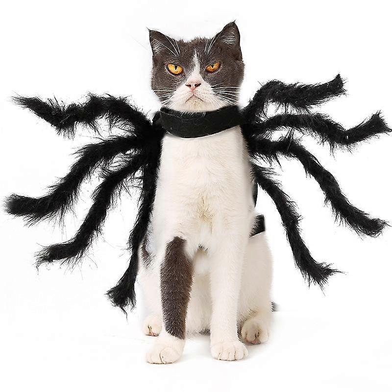 Pet Spider Costume M